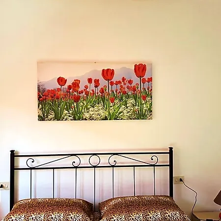 Nino Hotel Palau